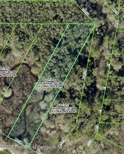 0 Coral Rock Dr, Webster, FL 33597