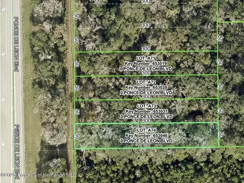 0 Ponce De Leon, Brooksville, FL 34601