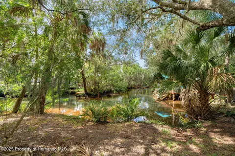 0 Avenue Of The Palms, Weeki Wachee, FL 34607