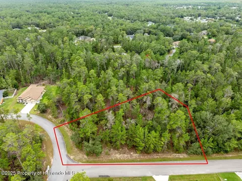 80 Bells Of Ireland Ct, Homosassa, FL 34446