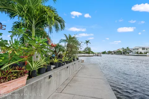 View/Area - 4366 6th Isle Dr, Hernando Beach, FL 34607 photo 7 of 16