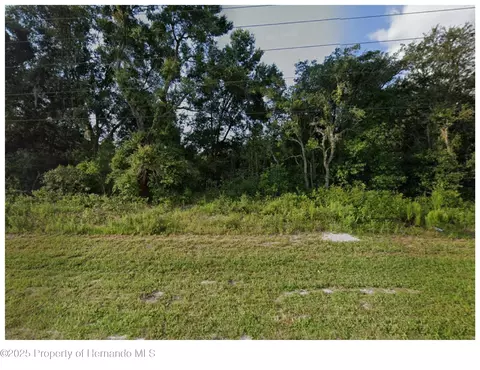 17314 County Line Rd, Spring Hillpasco, FL 34610 photo 1