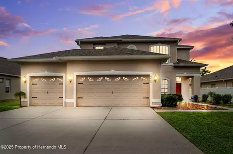 4460 Birchfield Loop Loop, Spring Hill, FL 34609