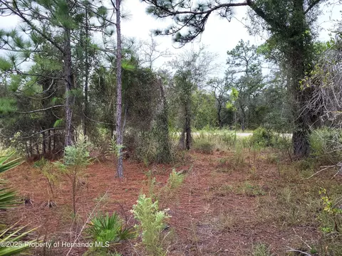 0 Motmot Rd, Weeki Wachee, FL 34614