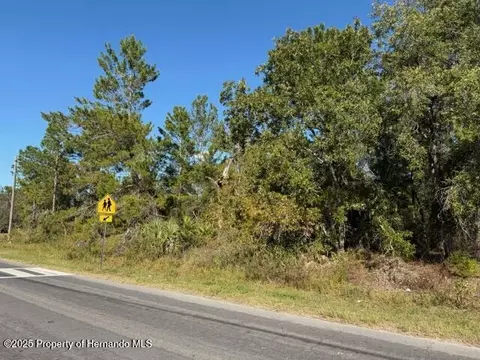 0 Lamson Ave, Spring Hill, FL 34608 photo 6