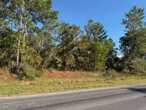 0 Lamson Ave, Spring Hill, FL 34608 photo 5