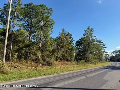 0 Lamson Ave, Spring Hill, FL 34608 photo 3