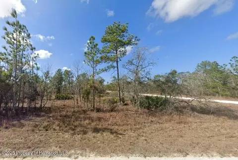 16341 Kingbird Rd, Weeki Wachee, FL 34614