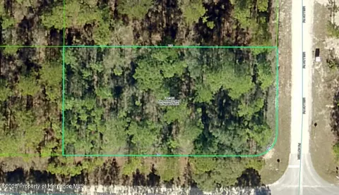 lot13 Tinamou Ave, Weeki Wachee, FL 34614