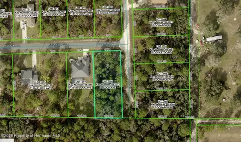 lot8 Flock Ave, Weeki Wachee, FL 34613