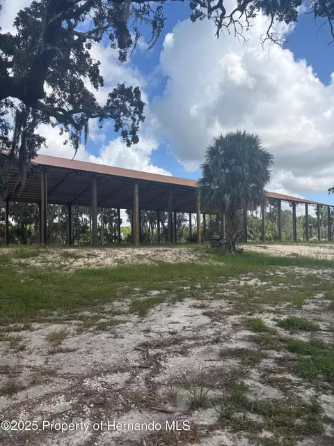 3217 Shine Ln, Spring Hill, FL 34607 photo 10