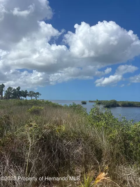 3217 Shine Ln, Spring Hill, FL 34607 photo 3
