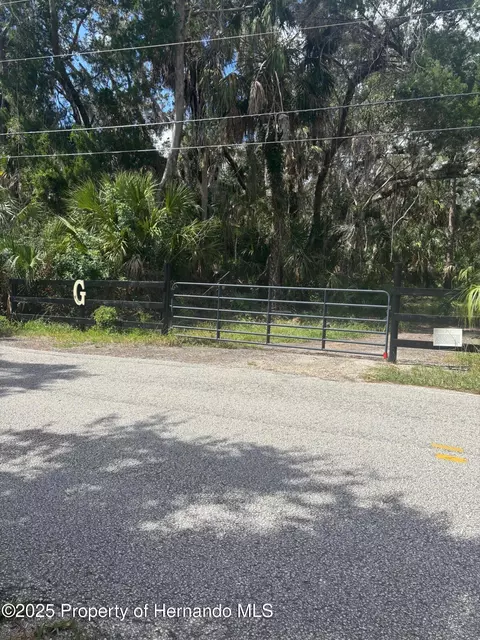 3217 Shine Ln, Spring Hill, FL 34607 photo 6