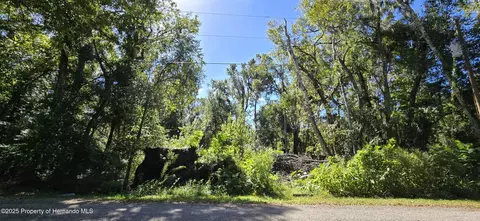 0 Foreside Ave, Brooksville, FL 34601