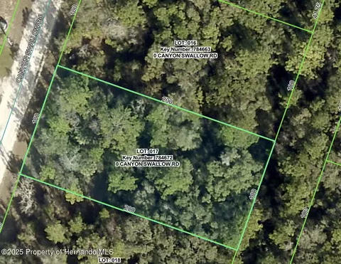 lot17 Canyon Swallow Rd, Weeki Wachee, FL 34614