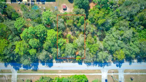 12630 Linden Dr, Brooksville, FL 34609