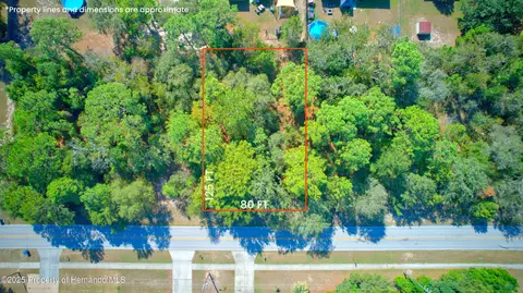 12646 Linden Dr, Spring Hill, FL 34609