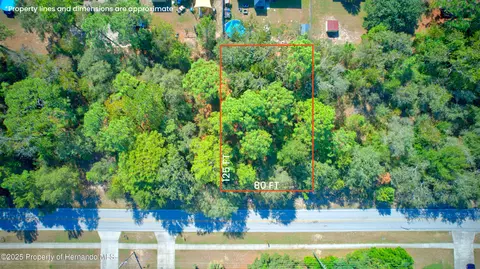 12638 Linden Dr, Spring Hill, FL 34609