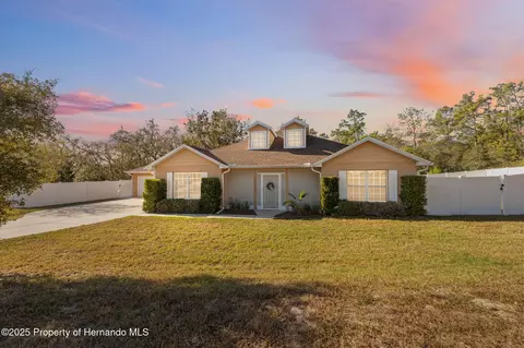 11006 Canary Ave, Spring Hill, FL 34613