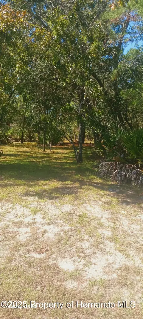 18187 Maberly Rd, Weeki Wachee, FL 34614