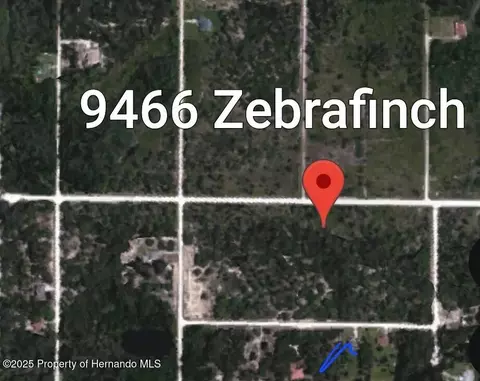09466 Zebrafinch Ave, Brooksville, FL 34614