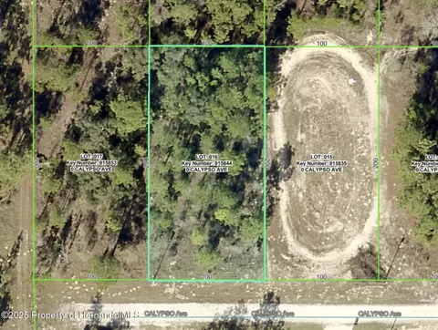 lot16 Calypso Ave, Weeki Wachee, FL 34614
