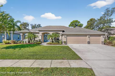 10271 Palmgren Ln, Spring Hill, FL 34608