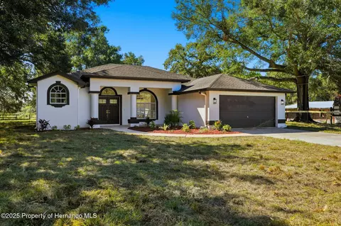 14100 Olympic Village Ln, Brooksville, FL 34614