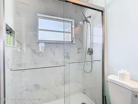 Bath - 4984 Cedarbrook Ln, Hernando Beach, FL 34607 photo 2 of 5