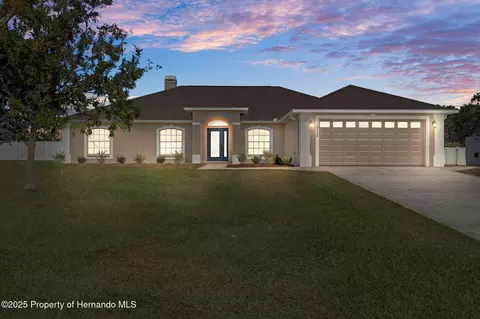 10248 Dusty Hill Loop, Dade City, FL 33525