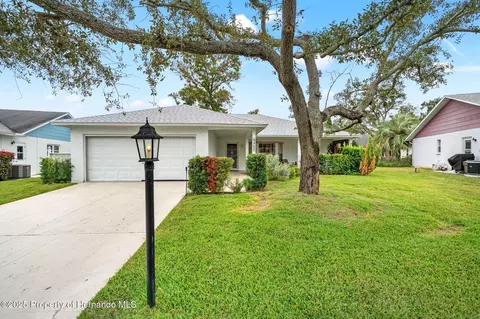 6404 Lost Tree Ln, Spring Hill, FL 34606