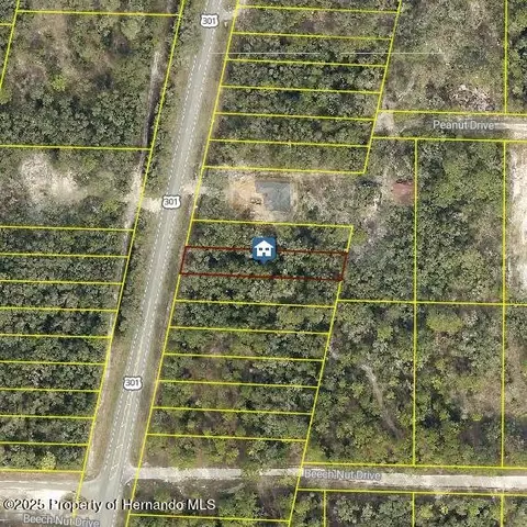 lot28 Treiman Blvd, Webster, FL 33597