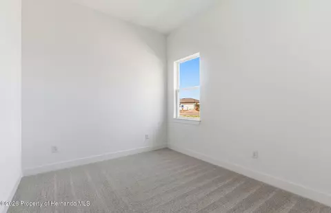 Bedroom - 16412 Rustic Sky Dr, Shady Hills, FL 34610 photo 3 of 3
