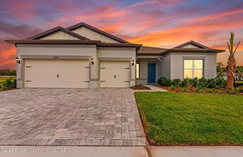 Other - 16412 Rustic Sky Dr, Shady Hills, FL 34610 photo 9 of 16