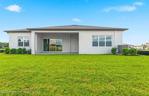 Other - 16412 Rustic Sky Dr, Shady Hills, FL 34610 photo 8 of 16