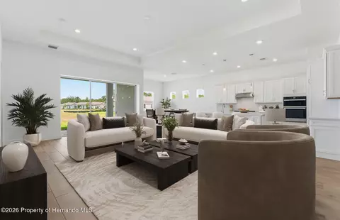 Living - 16412 Rustic Sky Dr, Shady Hills, FL 34610 photo 1 of 3