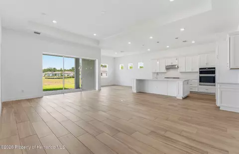 Living - 16412 Rustic Sky Dr, Shady Hills, FL 34610 photo 3 of 3