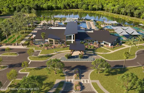 View/Area - 16412 Rustic Sky Dr, Shady Hills, FL 34610 photo 2 of 5