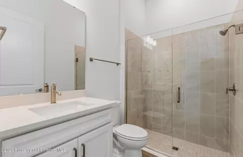 Other - 16412 Rustic Sky Dr, Shady Hills, FL 34610 photo 3 of 14