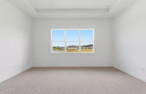 Bedroom - 16412 Rustic Sky Dr, Shady Hills, FL 34610 photo 1 of 3