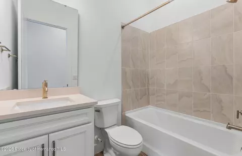 Other - 16412 Rustic Sky Dr, Shady Hills, FL 34610 photo 5 of 14