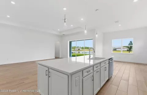 Other - 16412 Rustic Sky Dr, Shady Hills, FL 34610 photo 1 of 14