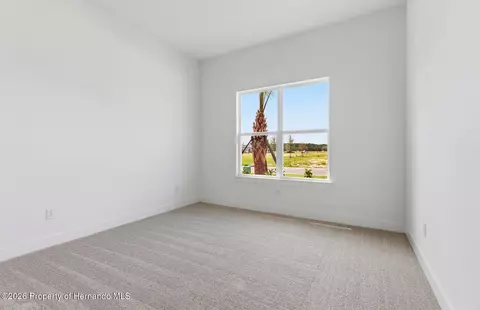 Bedroom - 16412 Rustic Sky Dr, Shady Hills, FL 34610 photo 2 of 3