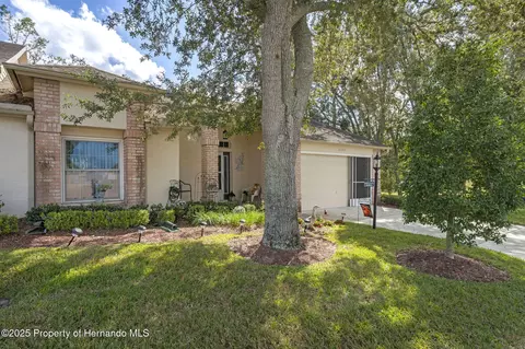 2102 Springmeadow Dr, Spring Hill, FL 34606