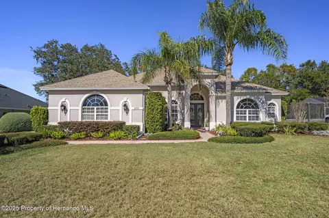 8789 Mississippi Run, Weeki Wachee, FL 34613