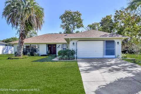 11249 Riddle Dr, Spring Hill, FL 34609