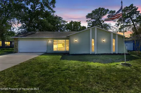 11394 Collingswood St, Spring Hill, FL 34608