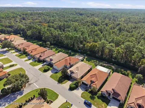 1650 W Lauel Glen Path, Hernando, FL 34442 photo 47