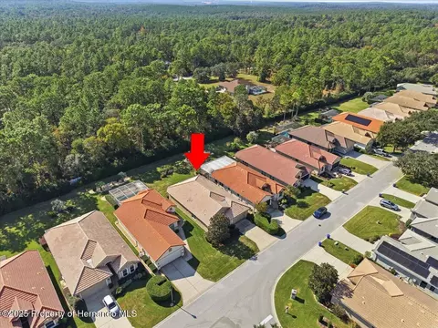 1650 W Lauel Glen Path, Hernando, FL 34442 photo 43