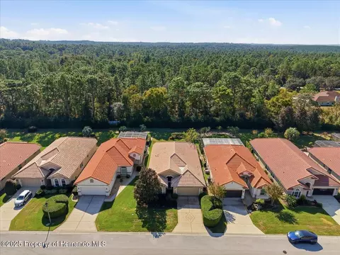 1650 W Lauel Glen Path, Hernando, FL 34442 photo 46